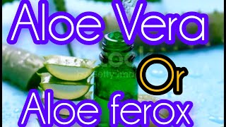 Aloe  aloe Vera Vs aleo ferox  myapproches [upl. by Eisele543]