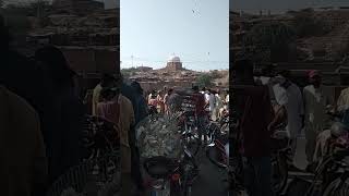 Bird market multan [upl. by Aerbua]