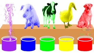 Farm Animals Bathing Colors Fun  Learn Colors for Children Kids Toddlers To Learn With Animals [upl. by Hyacinth]