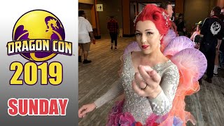 Dragon Con 2019 Sunday [upl. by Acirrej]