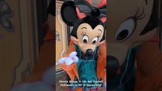 Minnie Mouse Meets us in Her Bat Themed Halloween Costume at Disneyland 2023 [upl. by Illib]