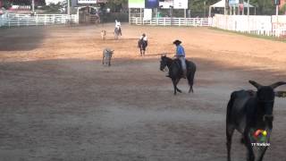 20º Rodeio Internacional do Conesul  Final Laço Certeiro [upl. by Dorcea]