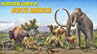 Extinct Pleistocene Megafauna of North America [upl. by Takakura]