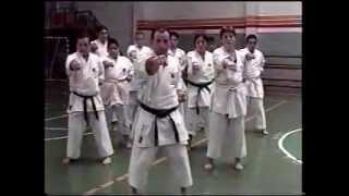 Karate Shotokan  kata y entrenamiento [upl. by Ynnel]