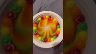 trying out science experiments with skittles [upl. by Nations734]