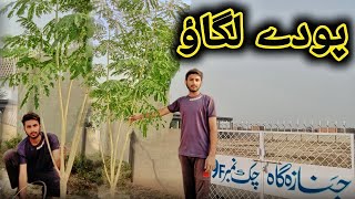 Plant trees to eliminate smog  پودے لگانا بہت بڑی نیکی ہے [upl. by Aikemot342]