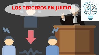 LOS TERCEROS EN JUICIO [upl. by Nabru]