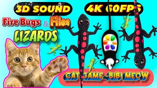 CAT GAMES TOM TV amp BiBi  Ultimate Compilation Catching The LIZARDS  Flies FireBugs🦎11 HOUR🦎Vol 59 [upl. by Anstus]