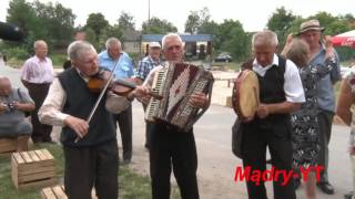 quotSKOWRONECZEKquot  instrumentalne wykonanie  Młyn Harmonistów w Gostomi 2017 [upl. by Kciv]