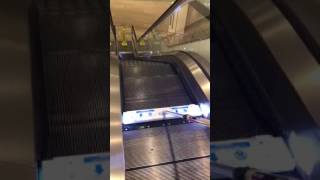 REN Escalator Cleaner [upl. by Celik]