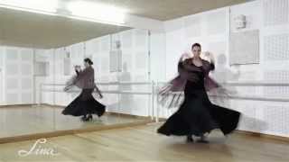 Ropa de Baile Flamenco de Lina [upl. by Ver]