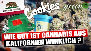 Die Cannabis Kultur in Kalifornien  GreenConnection in San Francisco  California Tour pt1 [upl. by Abehsile]