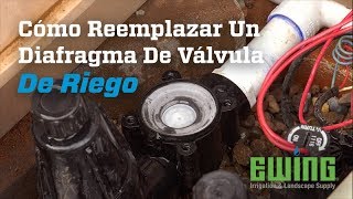 Cómo Reemplazar Un Diafragma De Válvula De Riego [upl. by Shorter794]