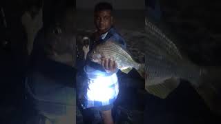 Huge White bream caught with blood worms fishing breamfishing bloodworms [upl. by Adriaens434]