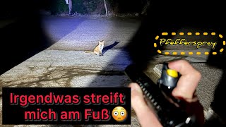 Komische Begegnung mit dem Fuchs 🦊 Straftat Mundraub  Griechenland Tour 9 [upl. by Stempson276]