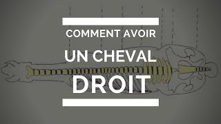 Comment avoir un cheval DROIT [upl. by Eelirak631]