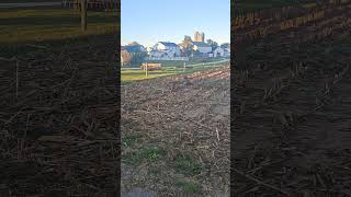 Delivering 10000 Pounds of Hay To Amish [upl. by Ingaborg531]