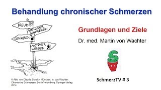 Behandlung chronischer Schmerzen  Grundlagen und Ziele [upl. by Ollecram]