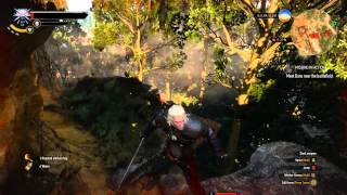 The Witcher 3  Windy Weather at 1080p60fps [upl. by Pratte601]