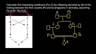 How to Calculate Inbreeding from Pedigrees [upl. by Aremus]