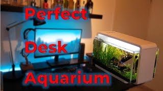 BEST DESK Aquarium Setup Superfish Home 25 66Gallon [upl. by Esilanna]