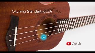 Как настроить Укулеле Ukulele tuner online [upl. by Aneeg]