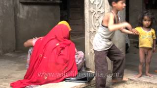 Household Chores underway In Sonkhaliya Rajasthan [upl. by Ynaiffit609]