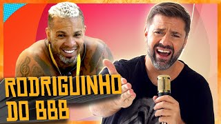 Rodriguinho odeia o Big Brother mas tá no BBB  Fábio Rabin Comédia Stand Up [upl. by Ennaeilsel994]