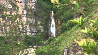 Depósito de agua para todos los páramos de Colombia  Global 3000 [upl. by Enniroc]