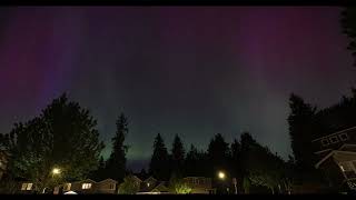 Aurora Borealis Woodinville WA [upl. by Ikuy]