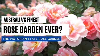 Victoria State Rose Garden 4k [upl. by Darci217]