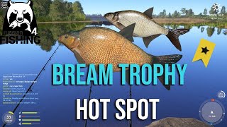 Russian Fishing 4 RF4 INSANE BREAM SPOT on Old Burg Lake NO PVA  SETUP [upl. by Carlotta]