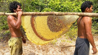 Primitive Technology Harvest Beehive and Honey by Brave Bushmen [upl. by Huskamp]