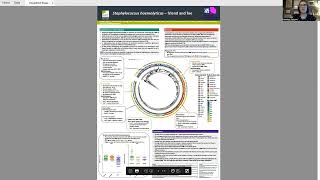 Staphylococcus haemolyticus  friend and foe [upl. by Matrona]