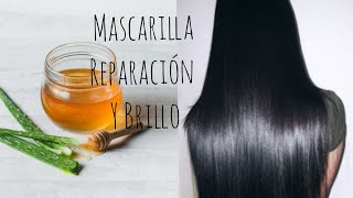 Shampoo de Romero🌿 y Sabila para el Crecimiento y la Caída [upl. by Alexandr555]