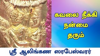 கவலை நீக்கி நன்மை தரும்  Sarabeswarar Temple  Koyambedu [upl. by Ahsei]