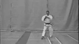 Oshawa Wadokai Karate  Pinan Nidan Kata [upl. by Gladwin]