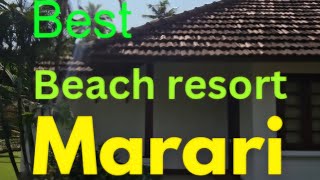 best beach resort in alappuzha mararikulam Abad turtle beach resort food alappuzha marari beach [upl. by Ogilvy298]