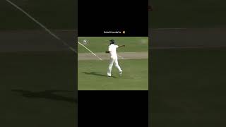 Alistair Cooks Brain FadeOut or Not Out shorts foryou fyp cricket india english [upl. by Yojal]