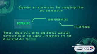 Mechanism of action of methyldopa [upl. by Bael]