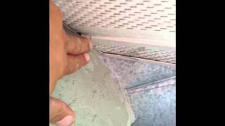 Tampa Rodent Proofing For Rats  Roof line [upl. by Ahsinrad]