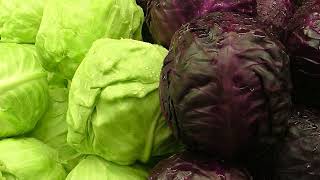 Cabbage The Humble Vegetable Transforming Global Cuisine [upl. by Nitsyrk]