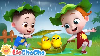 Baby Animals Play in the Rain  Rain Rain Go Away  Kids Songs amp Nursery Rhymes  LiaChaCha [upl. by Aicnetroh]