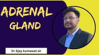 Adrenal Gland  Endocrine system DrAjay sir [upl. by Aelaza]