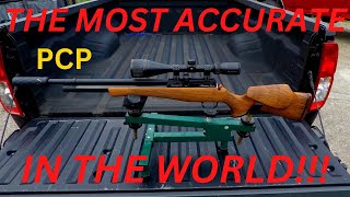 MOST ACCURATE PCP AIR RIFLE IN THE WORLD [upl. by Alexio]