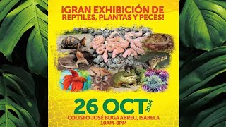 Reptile Zone Expo And Trade Show 2 [upl. by Cori]