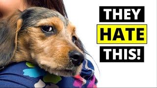 7 THINGS Dogs Hate That Humans Do [upl. by Brunhilde]