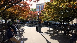 Exploring NYC in Autumn  Greenwich Village Little Island  4K HDR [upl. by Innep416]