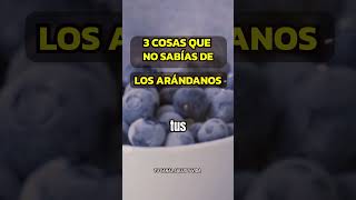 3 BENEFICIOS DE LOS ARÁNDANOS alimentossaludables  sabiasque [upl. by Valentia]