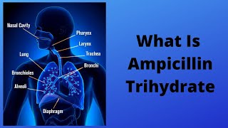 What Is Ampicillin Trihydrate [upl. by Griffin]